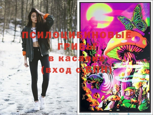 ПСИЛОЦИБИНОВЫЕ ГРИБЫ Абдулино