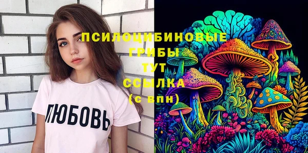 ПСИЛОЦИБИНОВЫЕ ГРИБЫ Абдулино